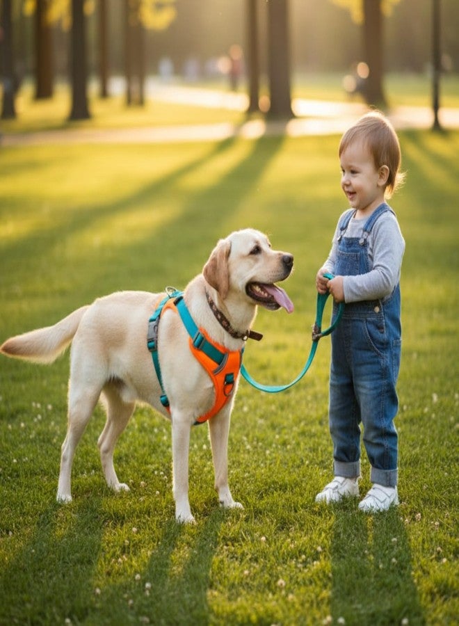 PET FUN حزام صدر للكلاب الصغيرة والجراء مبطن من الجانبين من بيت فن - سترة نايلون عاكسة من 3M مع مقبض تحكم سهل، وحزام صدر قابل للتعديل (برتقالي، كبير جدًا) - Image 3